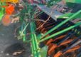 41172431 - Amazone ADP 402 Super Combination Drill