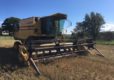 61169107 - New Holland Tf42 Combine