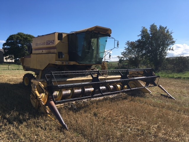 61169107 - New Holland Tf42 Combine