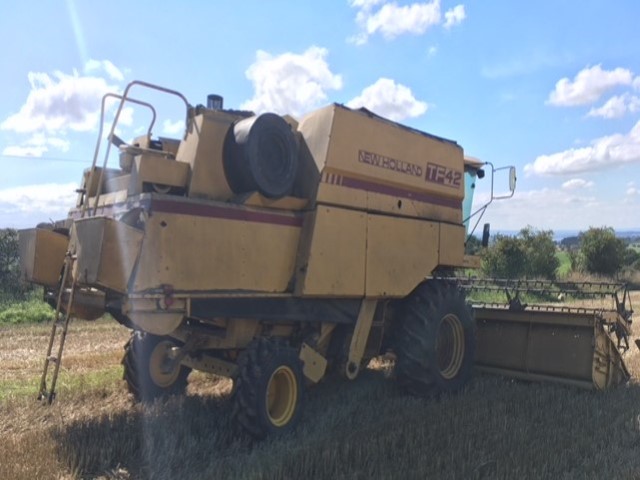 61169107 - New Holland Tf42 Combine
