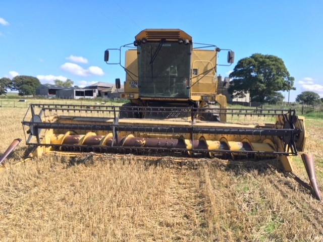 61169107 - New Holland Tf42 Combine