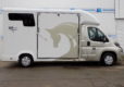 31166511 - Peugeout 150 Sonic Excel