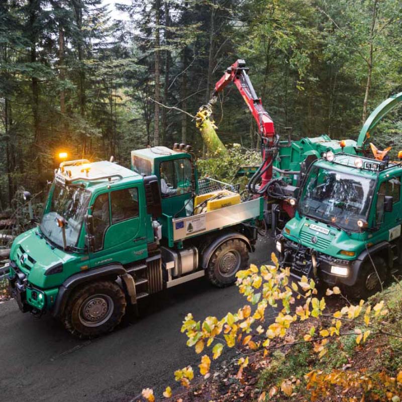 Mercedes-Benz Unimog - Lloyd Ltd