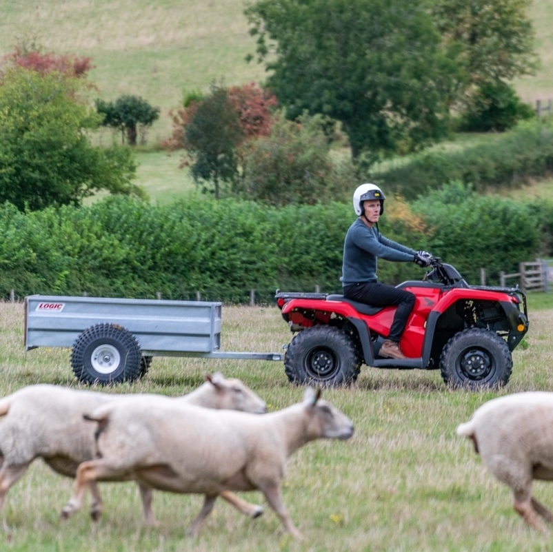 Honda ATV Quad Bikes